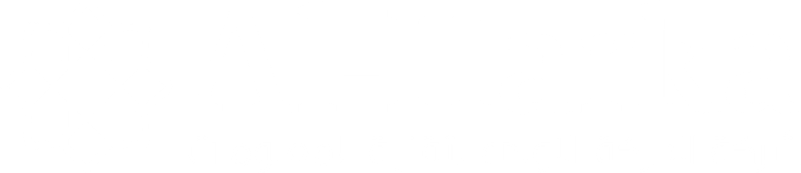 logo3